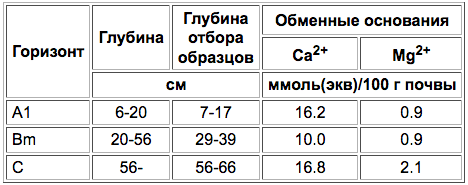 Burye lesnye slabonenasysсhennye pochvy (burozemy slabonenasysсhennye)-2.png