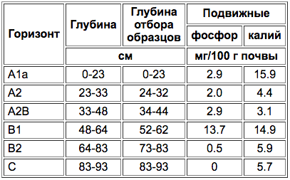Dernovo-podzolistije slabonenasyshchennije i vtorichno- nasyshchennije-3.png
