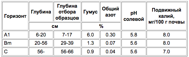 Burye lesnye slabonenasysсhennye pochvy (burozemy slabonenasysсhennye)-1.png
