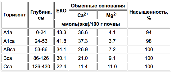 Lugovo-chernozemnye karbonatnye pochvy-2.png
