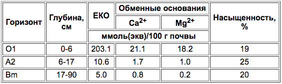 Podzoly illyuvialno-gumusovije-2.png