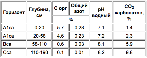 Chernozemy ostatochno-karbonatnye-1.png