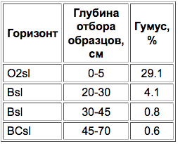 Torfyanyye bolotnyije solonchakovatyije-1.png