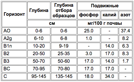 Gleye-podzolistije-3.png