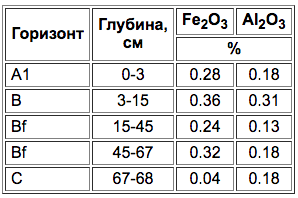 Pochvy tundrovykh pyaten-3.png