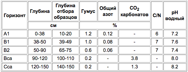 Kashtanovye muchnisto-karbonatnye pochvy bez razdeleniya-1.png