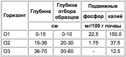 Torfyanye bolotnye verhovye pochvy-2.png