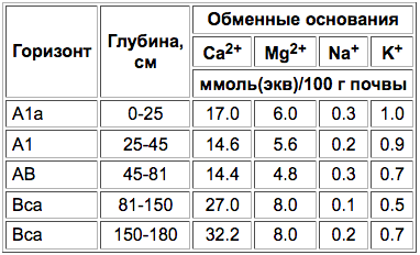 Lugovo-kashtanovye pochvy-2.png