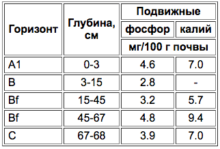 Pochvy tundrovykh pyaten-4.png