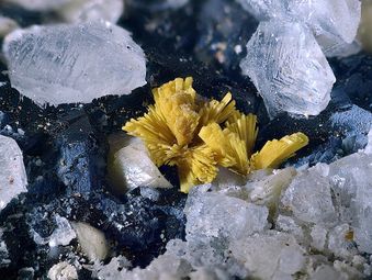Valentinite-3.jpg