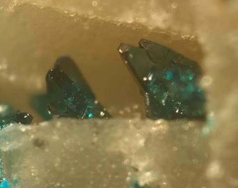 Lammerite-5.jpg