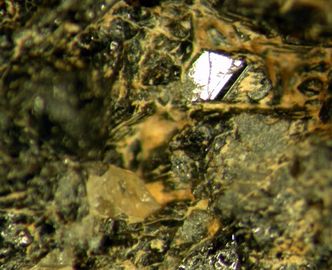 Allanite-(La)-2.jpg