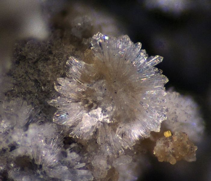 Файл:Adranosite-(Al)-3.jpg