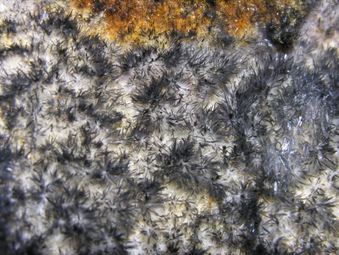 Epsomite-8.jpg
