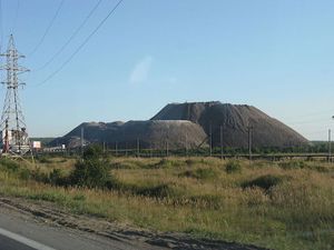 Kaliynaya-sol.jpg