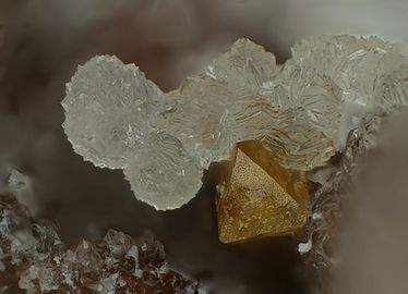 Prosopite-1.jpg