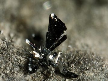 Cannizzarite-7.jpg