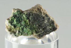 AKTASHIT.jpg