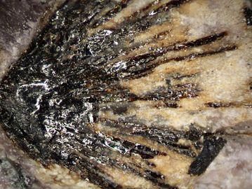 Umbozerite-8.jpg