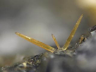 Zircon-5.jpg
