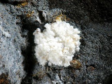 Angastonite-3.jpg