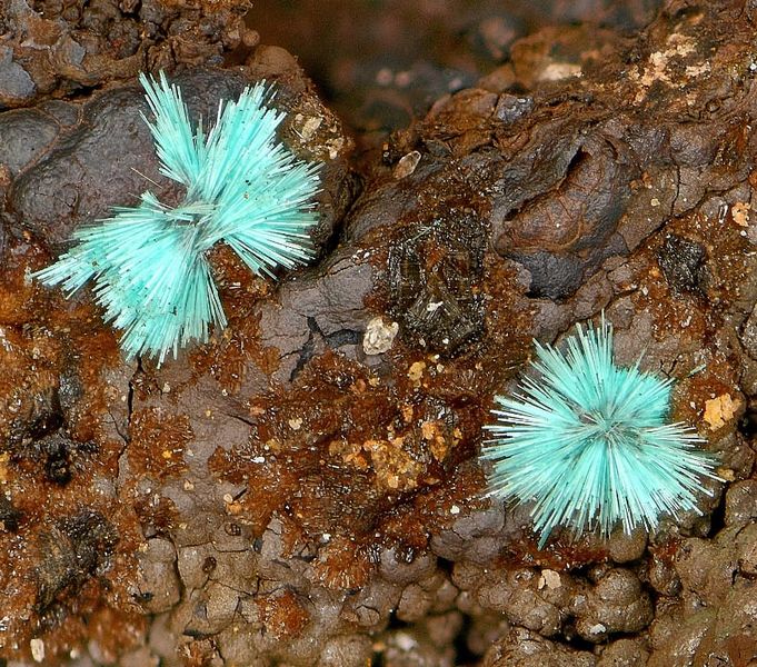 Файл:Agardite-(Y)-2.jpg