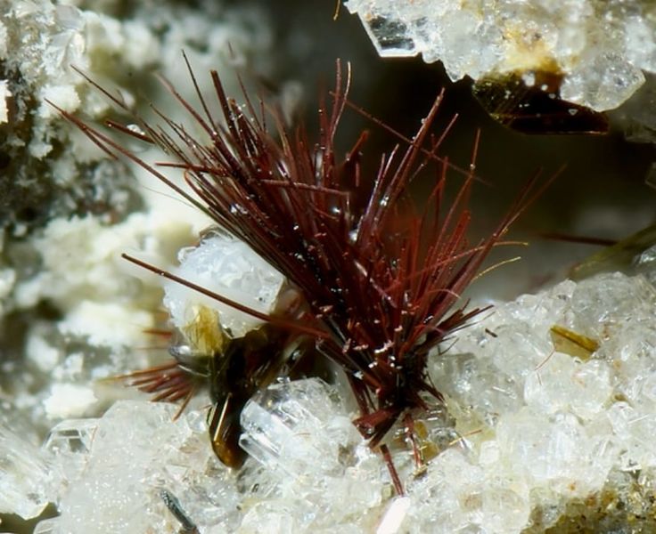 Файл:Warwickite-4.jpg