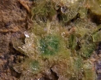 ABERNATHYITE-1.jpg