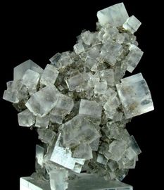 Halite-3.jpg