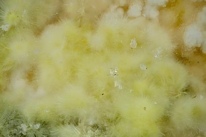 Belakovskiite-4.jpg