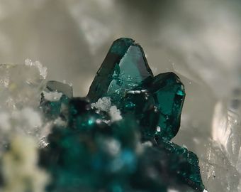 Lammerite.jpg
