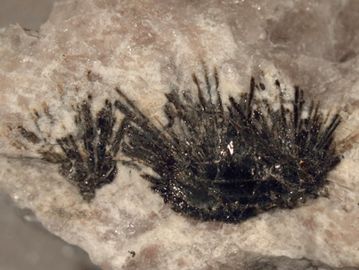 Umbozerite-2.jpg