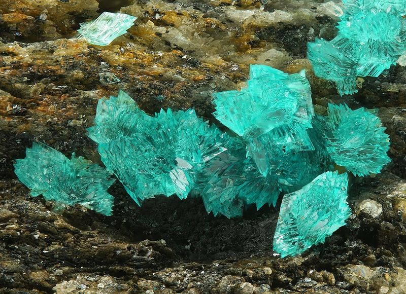Файл:Turquoise-3.jpg