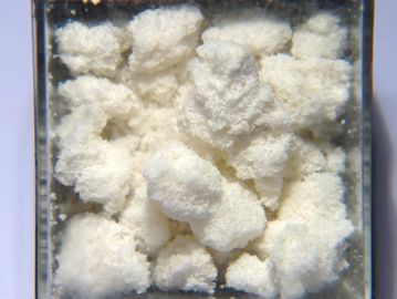 Goslarite-1.jpg