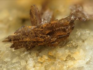 Tilasite-1.jpg