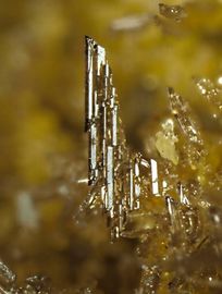 Cotunnite-3.jpg