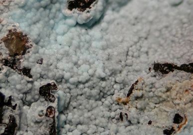Alumohydrocalcite-5.jpg