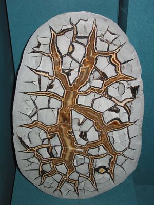 Septarian Nodule.jpg