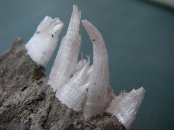 Epsomite-4.jpg