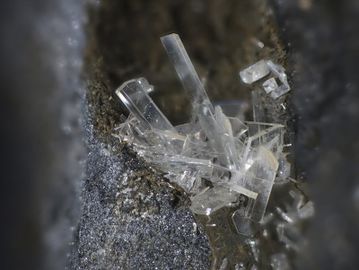 Paralaurionite-2.jpg