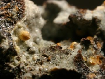 Hidalgoite-2.jpg