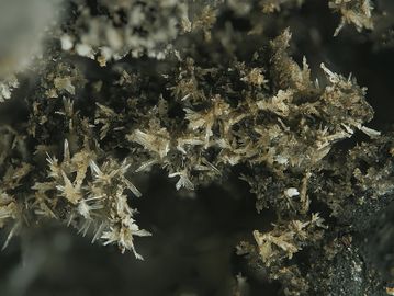 Tamarugite-3.jpg