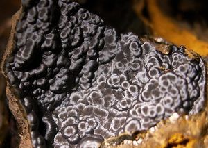 Goethite-1.jpg