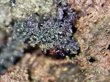 Shcherbinaite-4.jpg