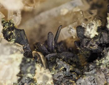 Wittichenite-6.jpg