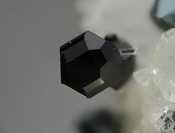 Allanite-(Ce).jpg
