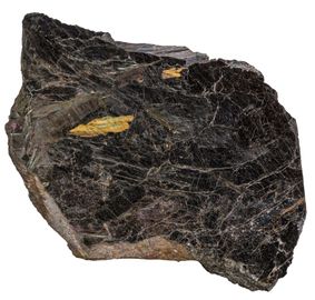 Nuumit-1.jpg