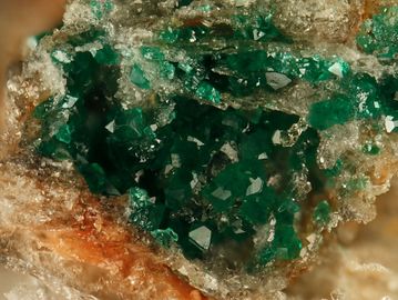 Clinoatacamite-3.jpg