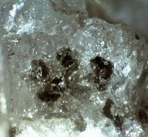 Ganterite-1.jpg