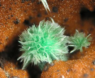 Agardite-(Y)-6.jpg